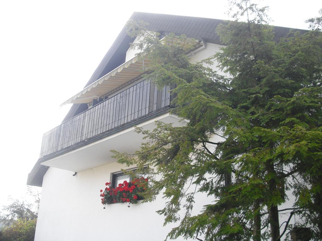 Gästehaus Cramer Bad Kissingen Exterior foto