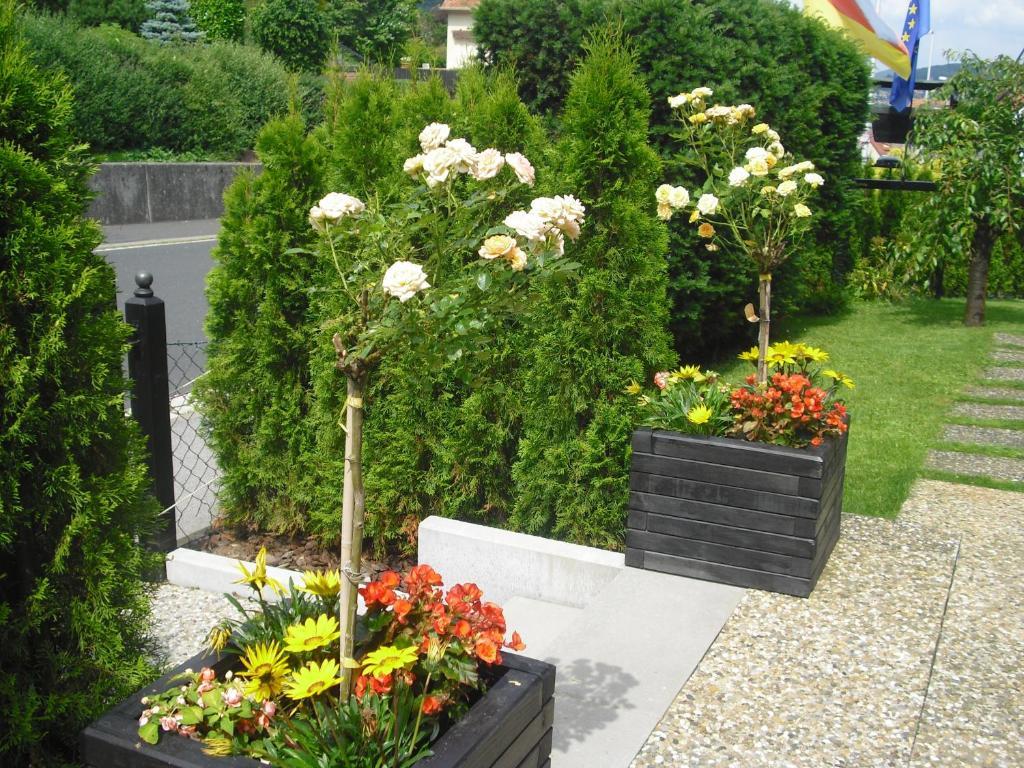 Gästehaus Cramer Bad Kissingen Exterior foto