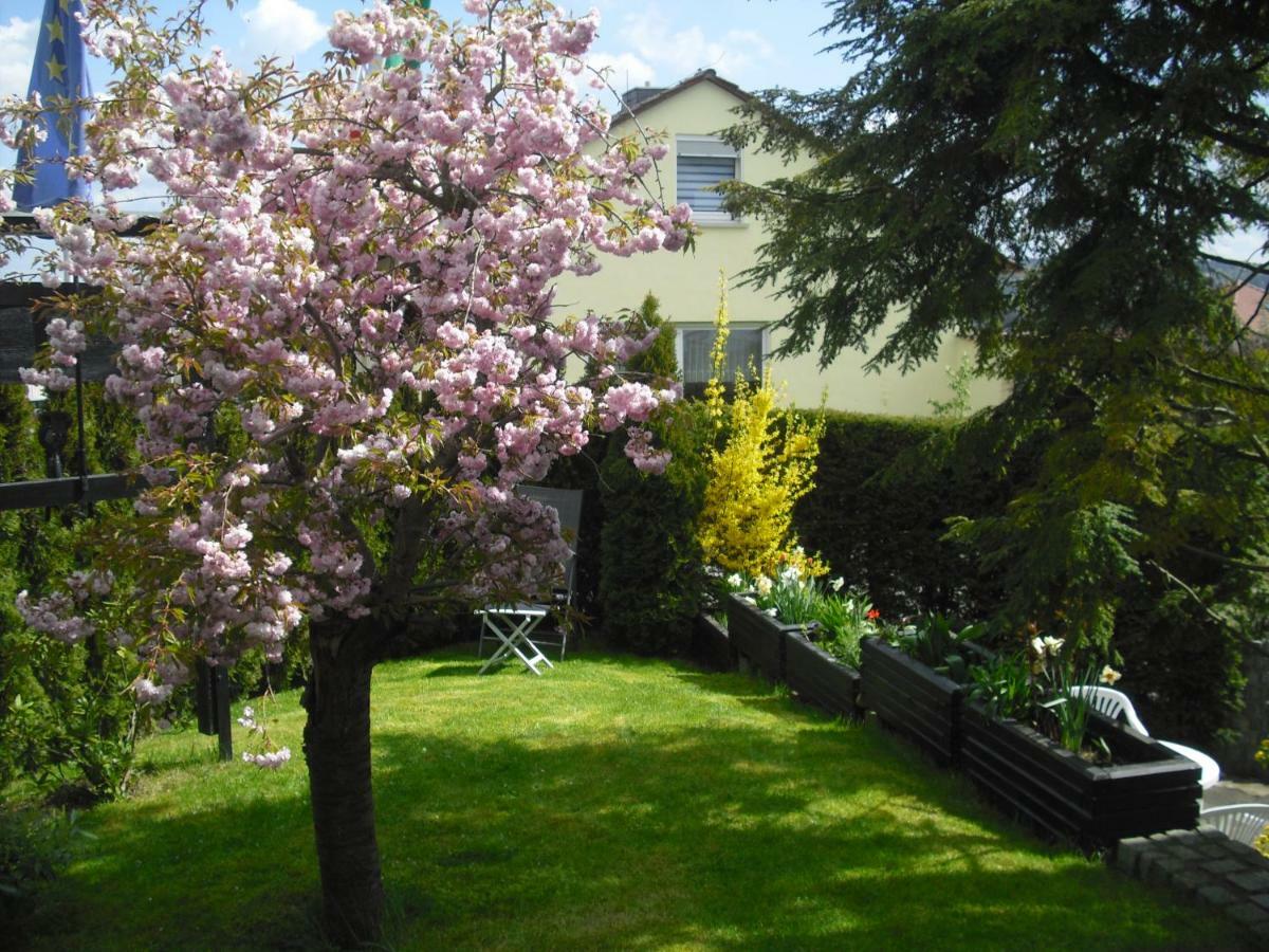 Gästehaus Cramer Bad Kissingen Exterior foto